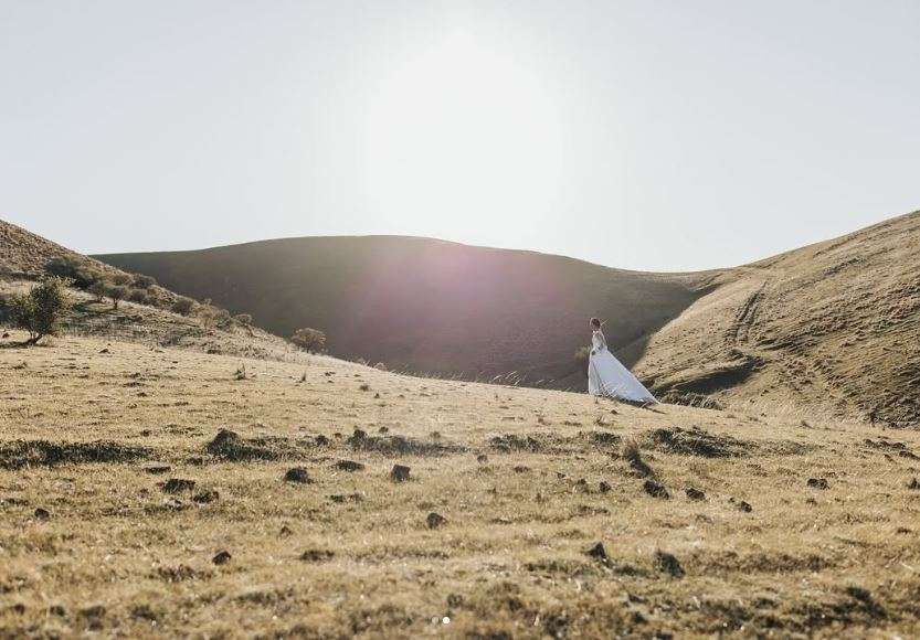 Horrocks Vale Collections Horrocks Vale Collections