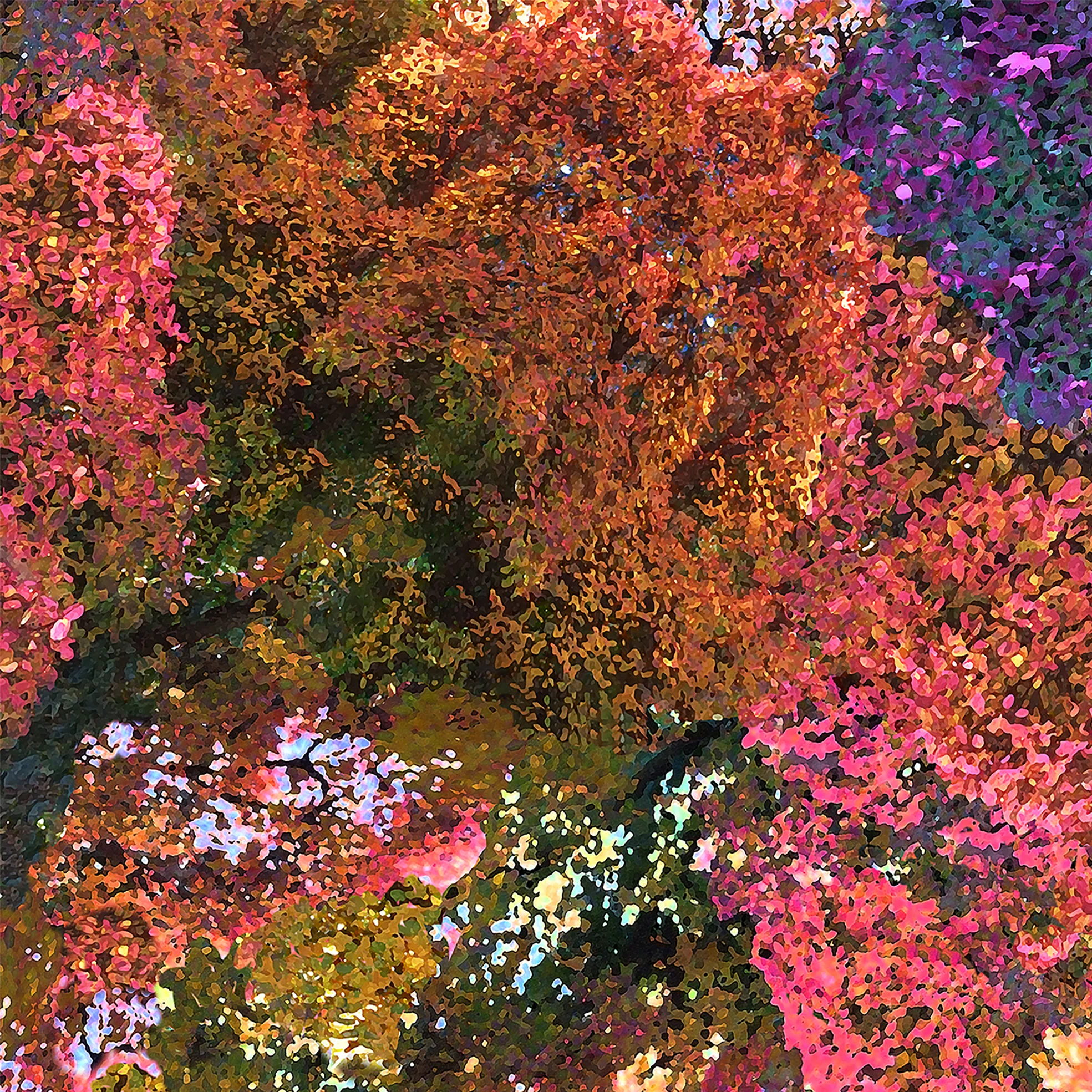 Hepburn Cotton Pants - Image 11